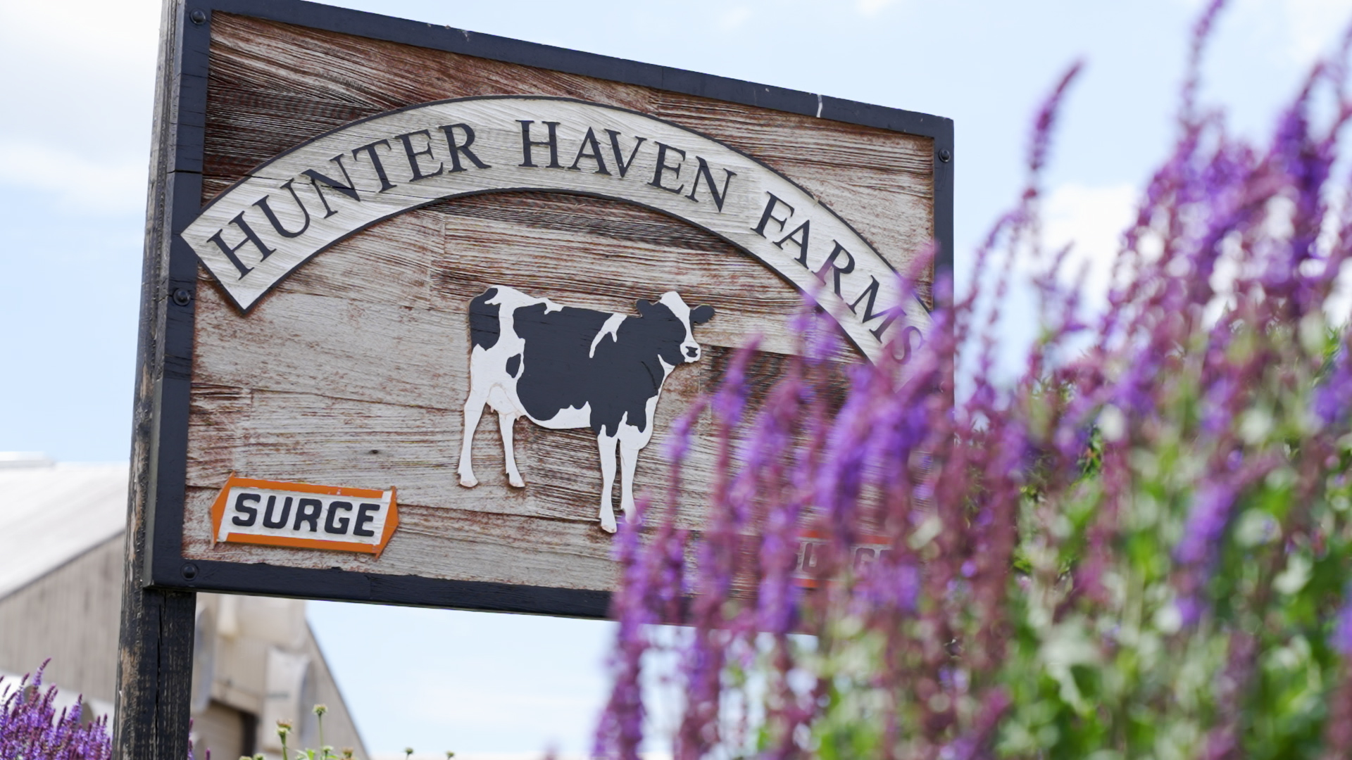 Hunter Haven Farms Showcased During Dairy Technology Tour - Dairy Herd Management
