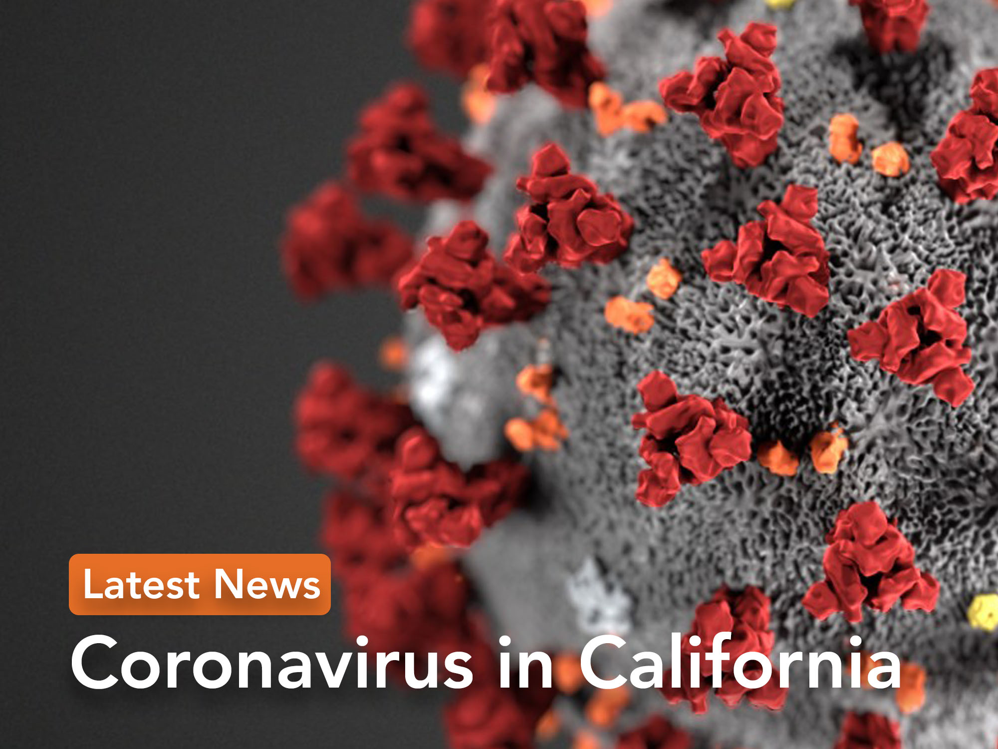 California Coronavirus Updates: Some Sacramento Entertainment Venues Asking Customers To Be Fully Vaccinated - Capital Public Radio News