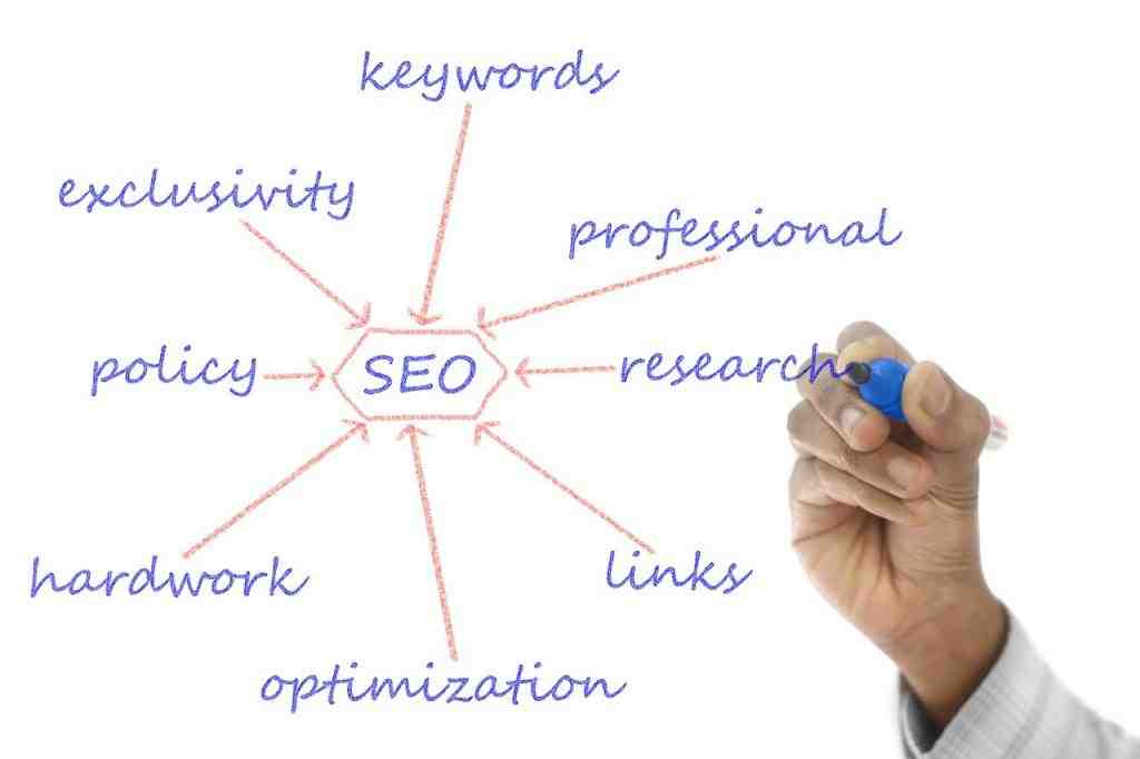 Which company has the best SEO?
