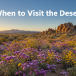 When to visit the desert