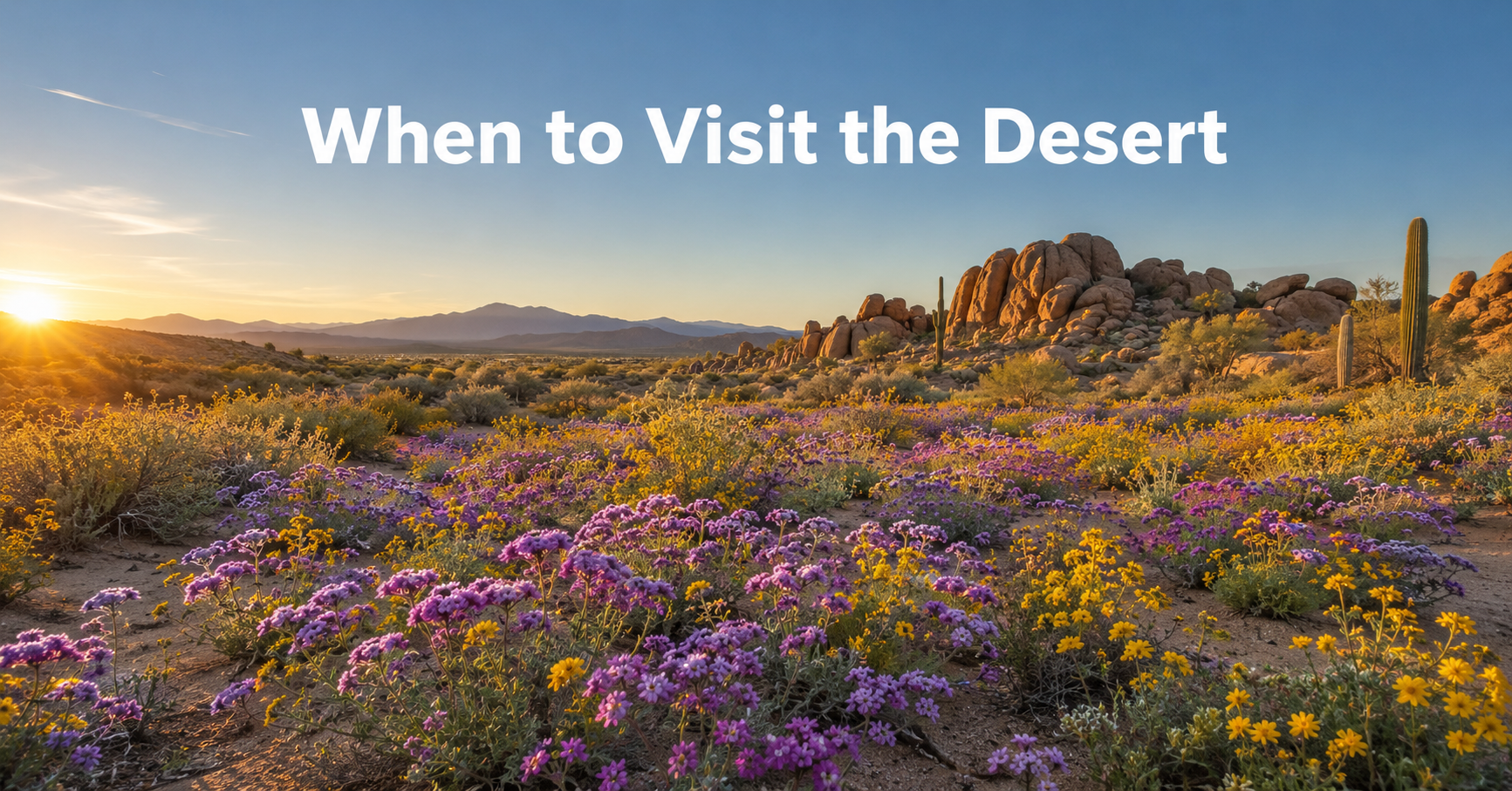 When to visit the desert